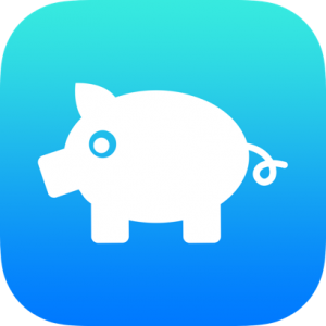 Pig Money Box Icon