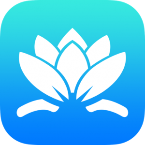 Water Lilly Icon